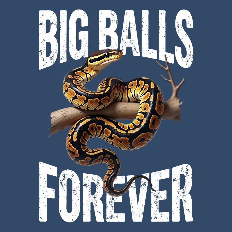 Python roi Serpents Amateurs de terrarium Python