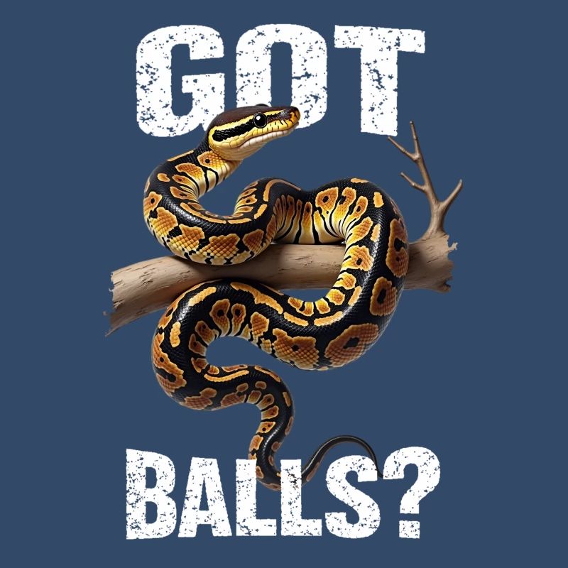 Python roi Serpents Amateurs de terrarium Python