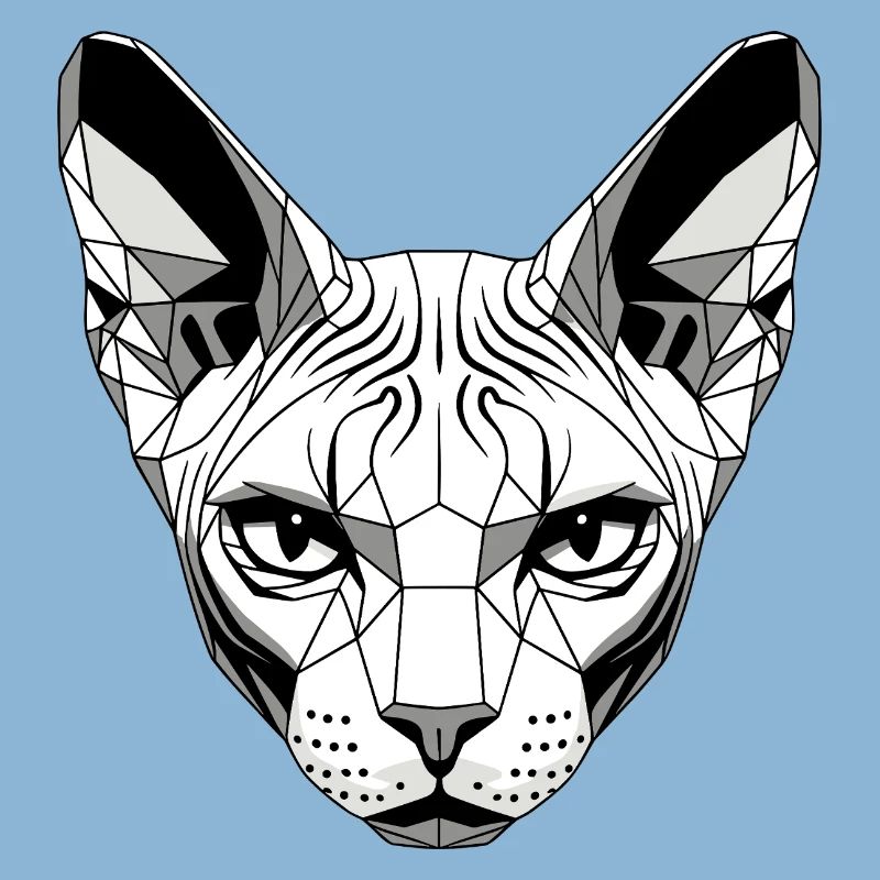 Sphynx Chat Sphynx Chat Chat Canadien Sphinx mignon