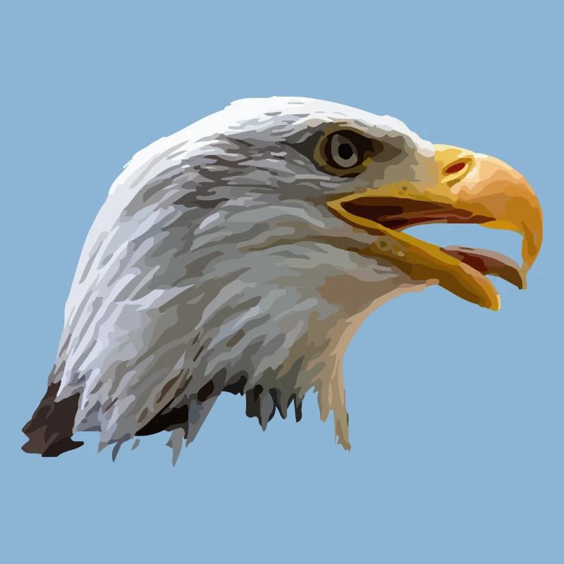 bald eagle