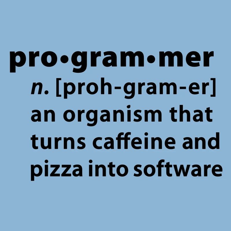 Programmer dictionary definition