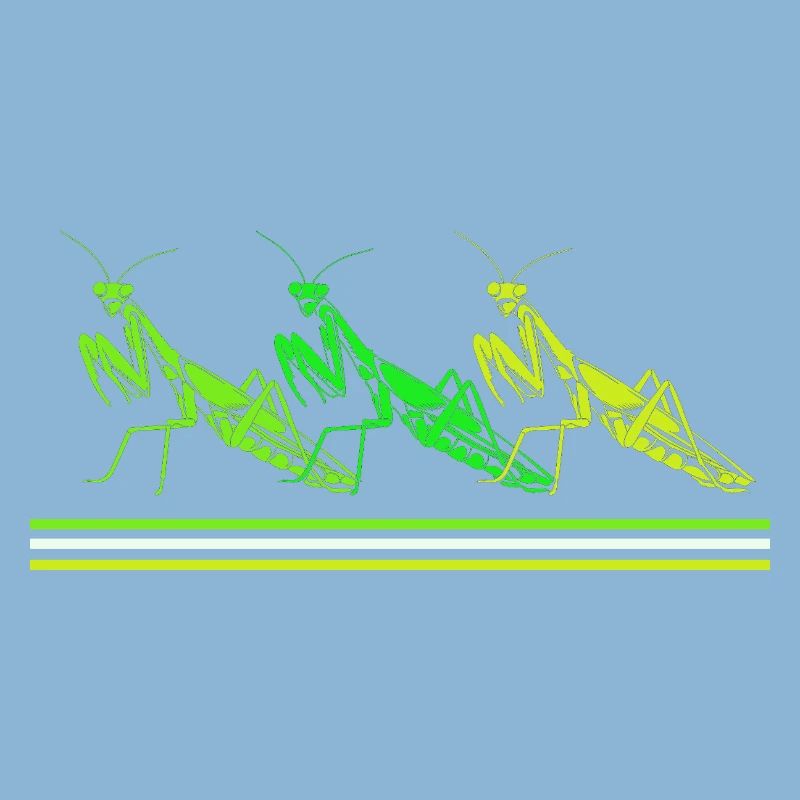 Mantis Gottesanbeter Gottesanbeterin