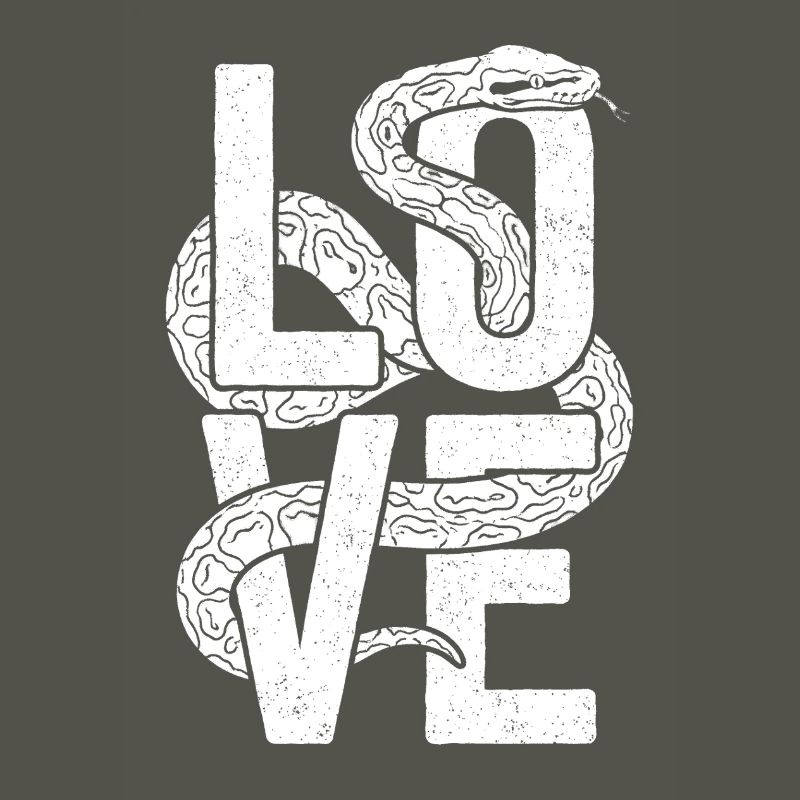 Les serpents rois Python ADORENT les pythons de terrarium