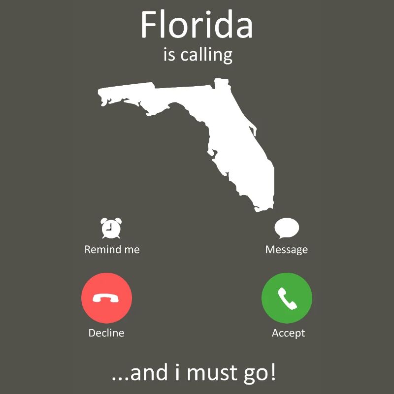 Interface de Floride et Interface I’Must Go