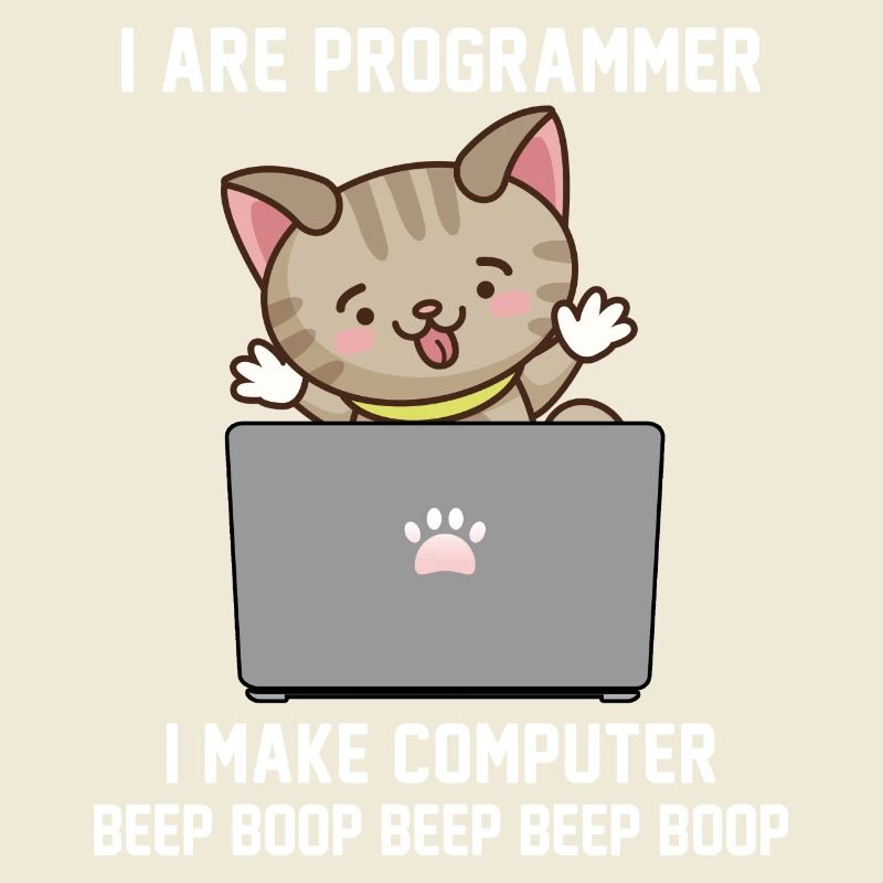 Programmer