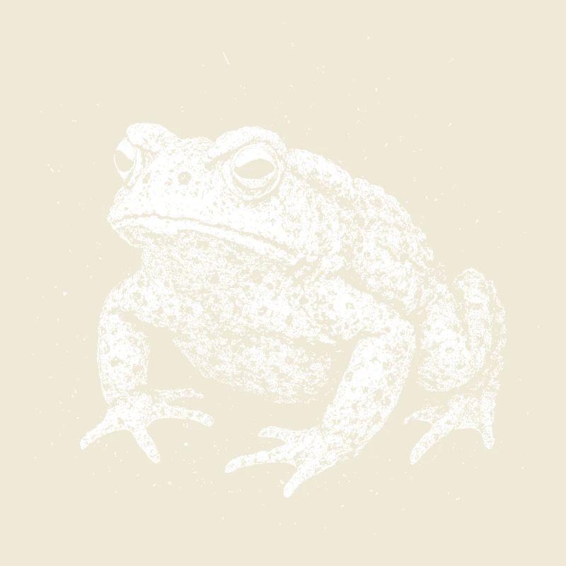 Toad