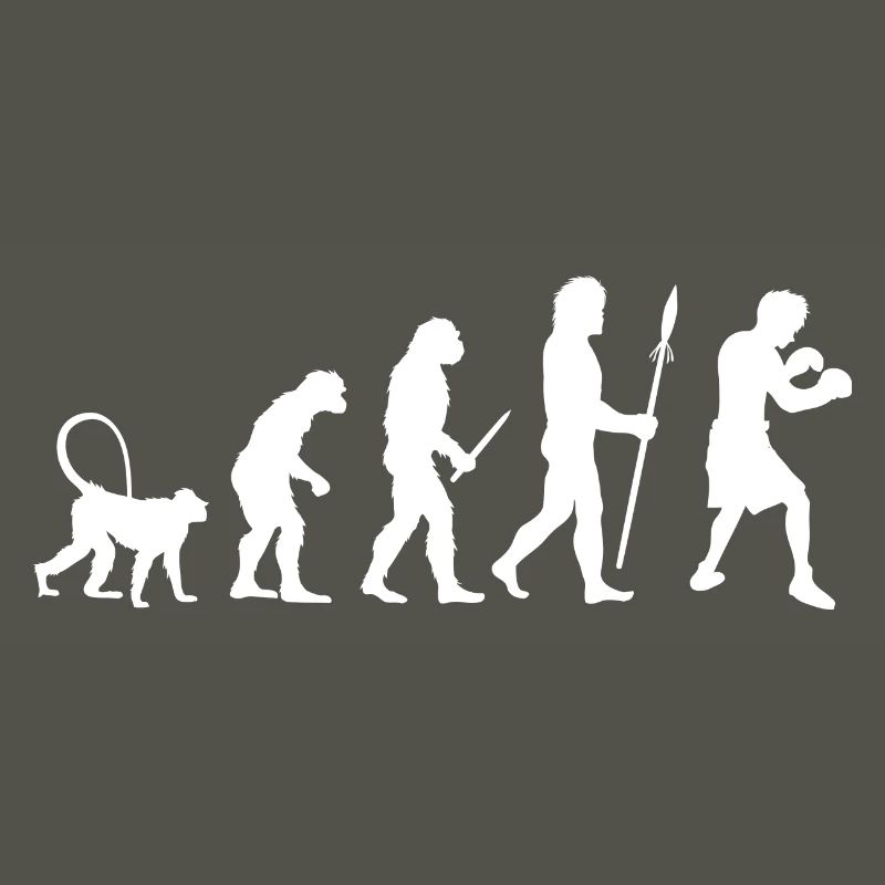 Évolution de la boxe