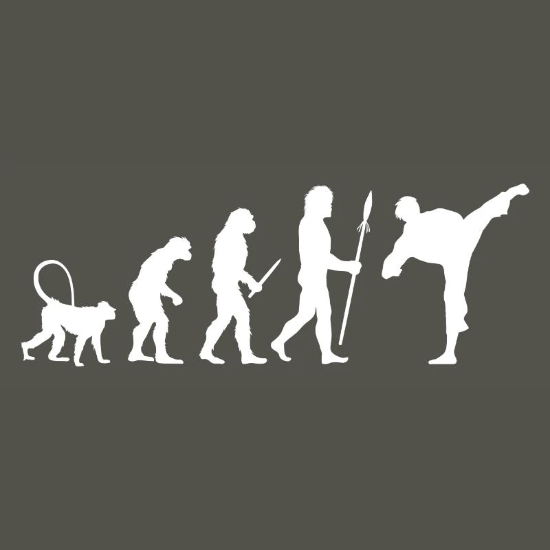 Évolution du karaté