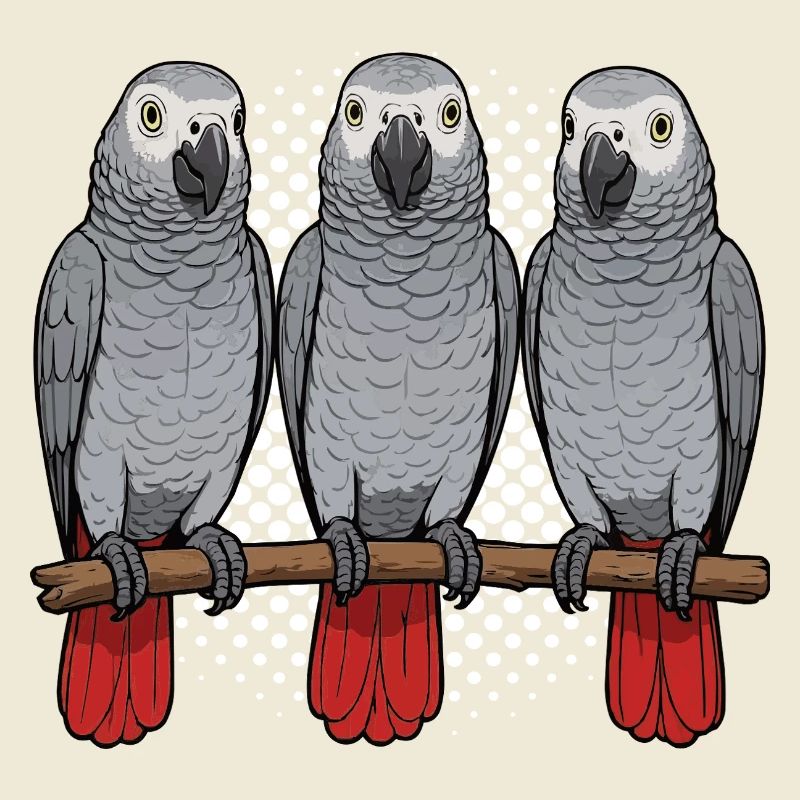 African grey parrot parrot owner parrot keeper
