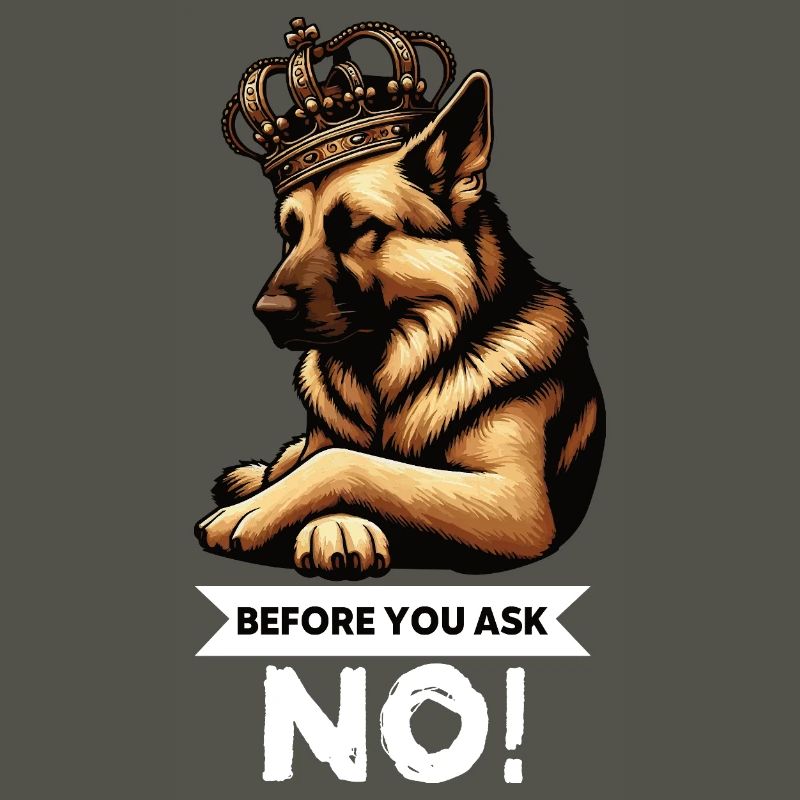 Before You Ask German Shepherd Shepherds