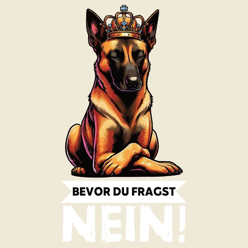Before you ask: Malinois Belgian Shepherd