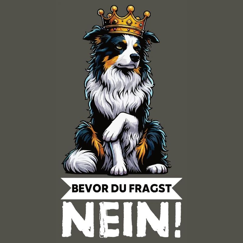 Bevor Du Fragst Australian Shepherd Aussie Aussie