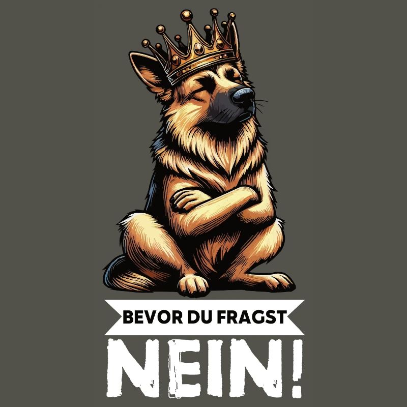 Before you ask German Shepherd Shepherds