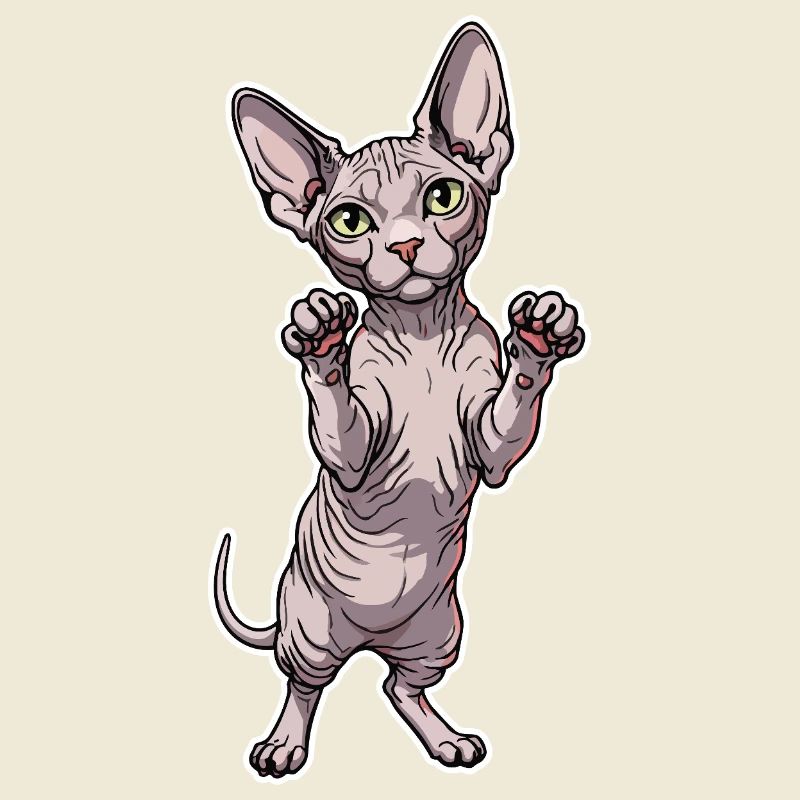 Chat Sphynx Mignon Posture Debout Portrait