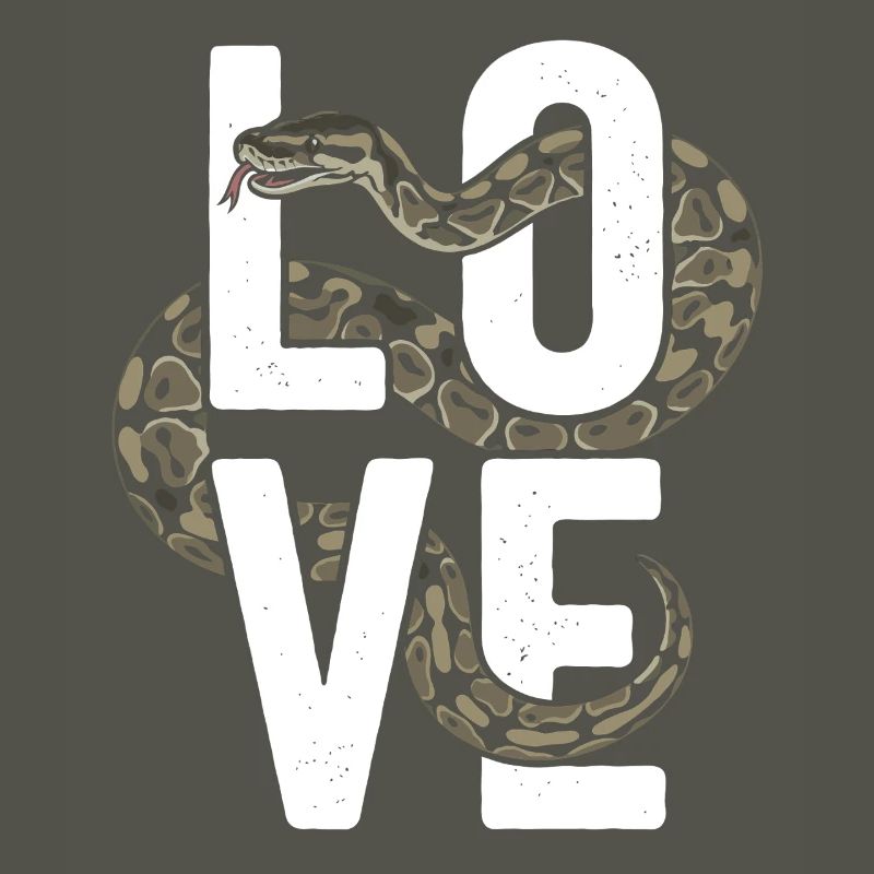 Königspython Schlangen LOVE Terrarium Python