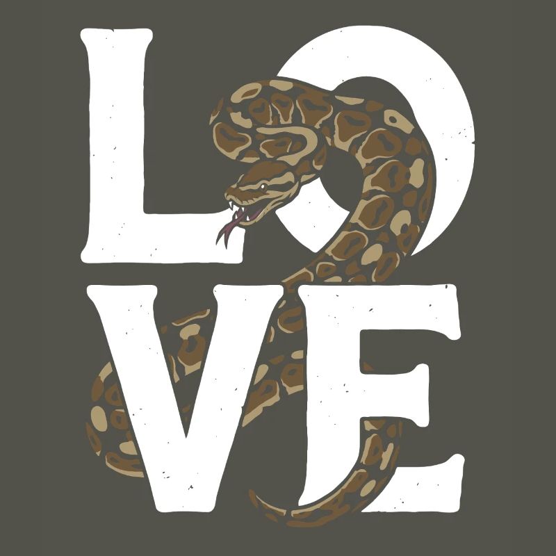 Les serpents rois Python ADORENT les pythons de terrarium