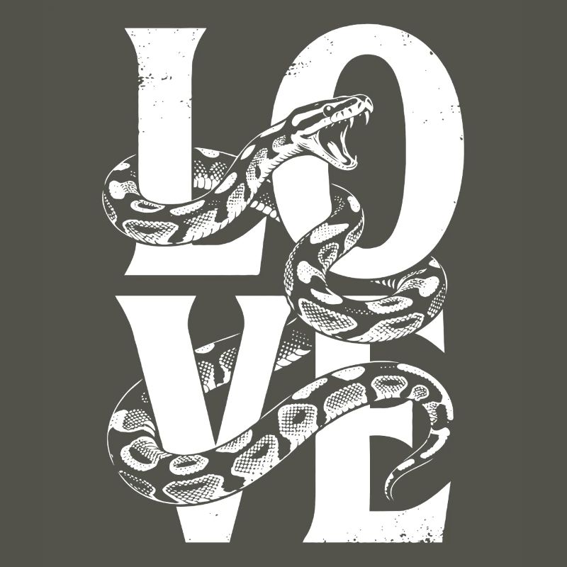 Les serpents rois Python ADORENT les pythons de terrarium