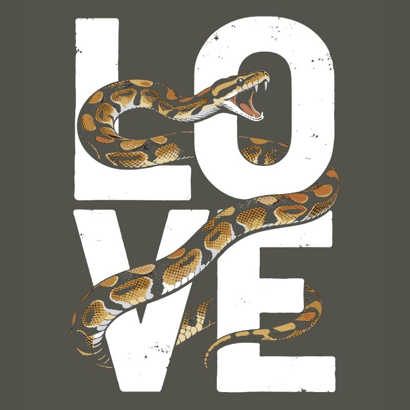 Les serpents rois Python ADORENT les pythons de terrarium