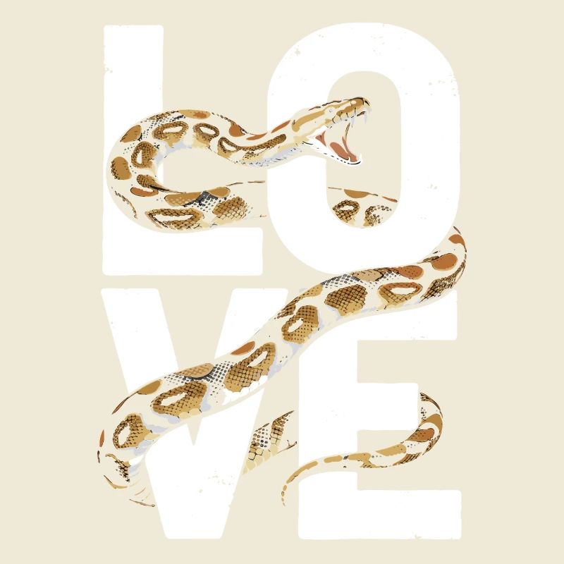 Les serpents rois Python ADORENT les pythons de terrarium