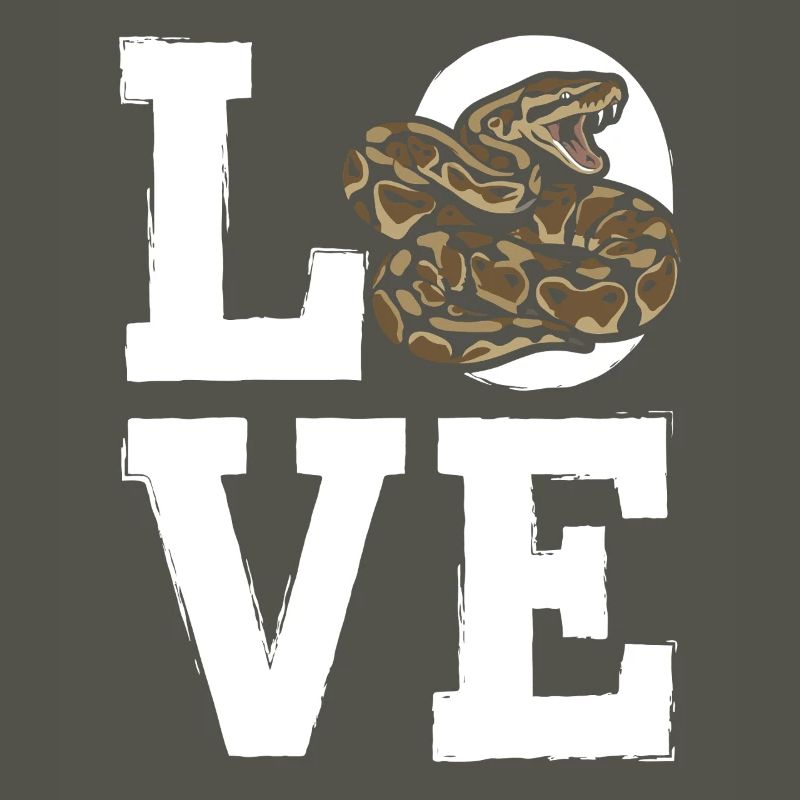 Les serpents rois Python ADORENT les pythons de terrarium
