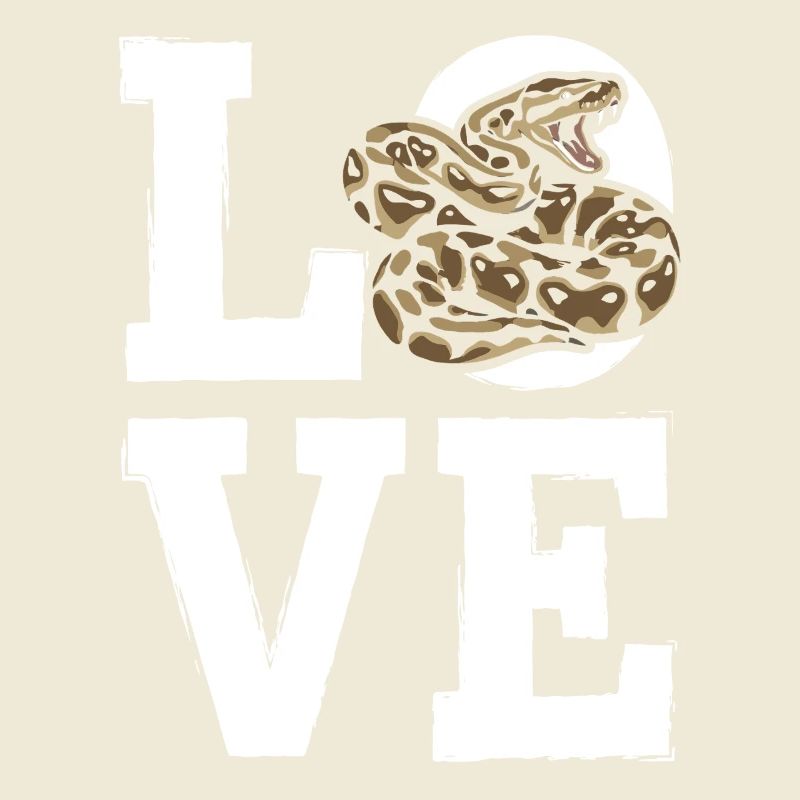 Königspython Schlangen LOVE Terrarium Python