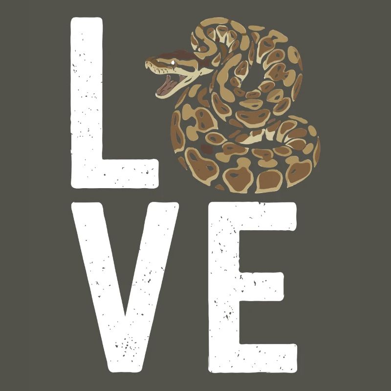 Les serpents rois Python ADORENT les pythons de terrarium