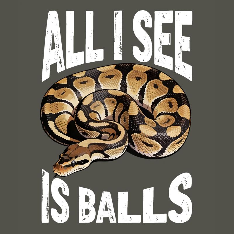 Python roi Serpents Amateurs de terrarium Python