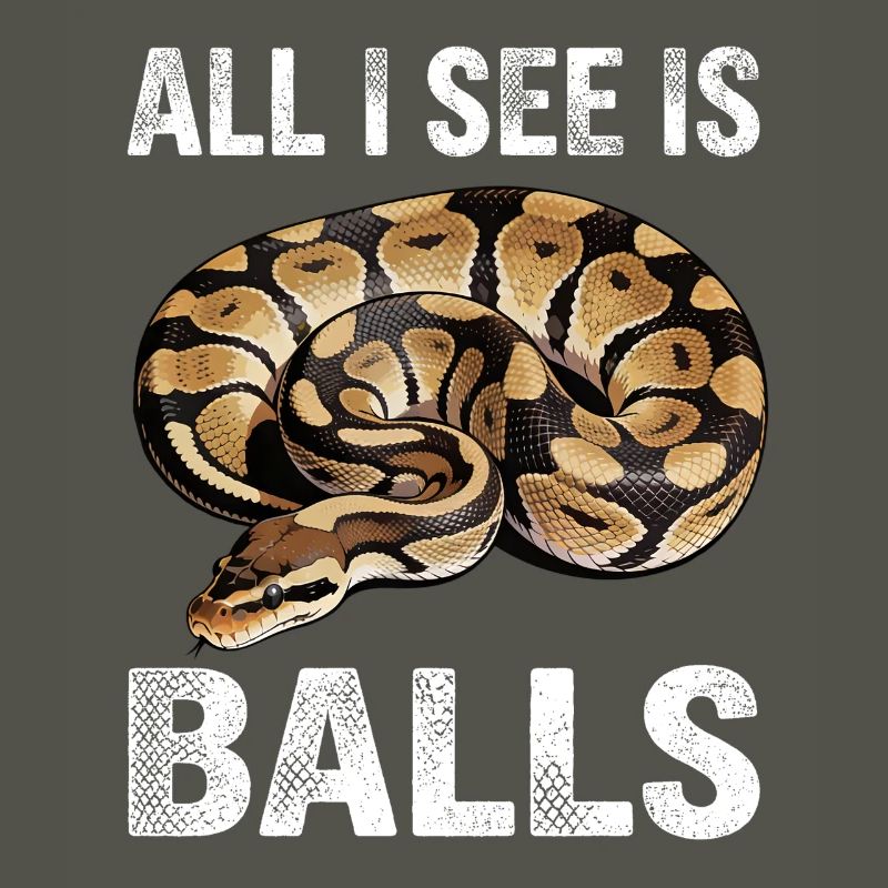 Python roi Serpents Amateurs de terrarium Python