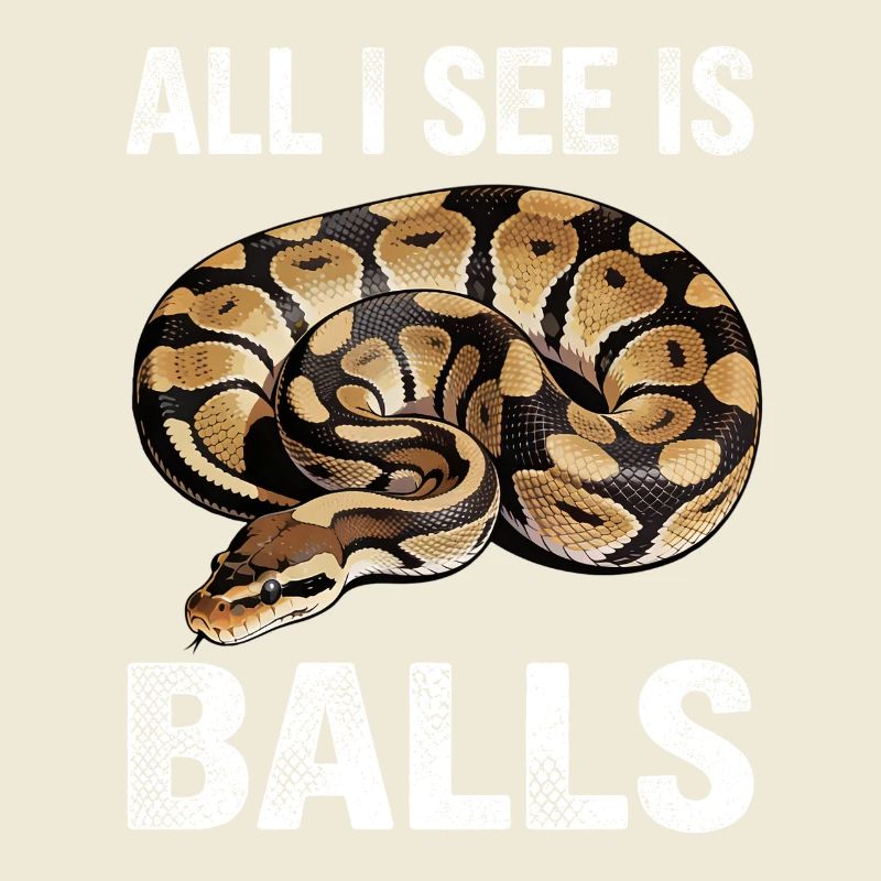 Python roi Serpents Amateurs de terrarium Python