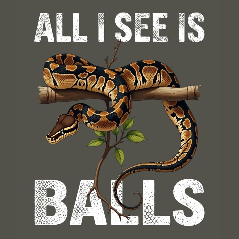 Python roi Serpents Amateurs de terrarium Python