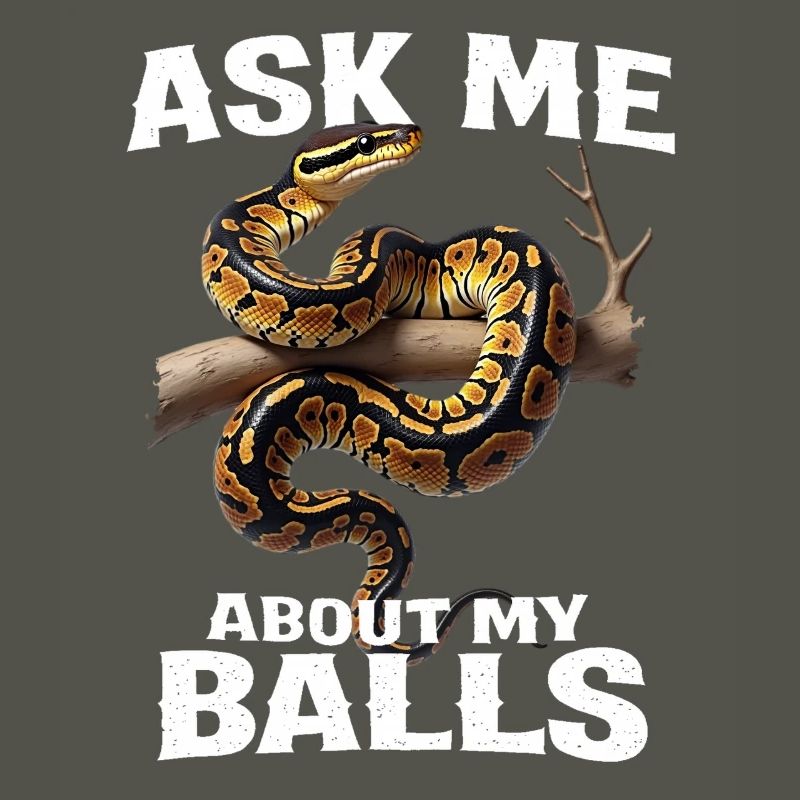 Python roi Serpents Amateurs de terrarium Python
