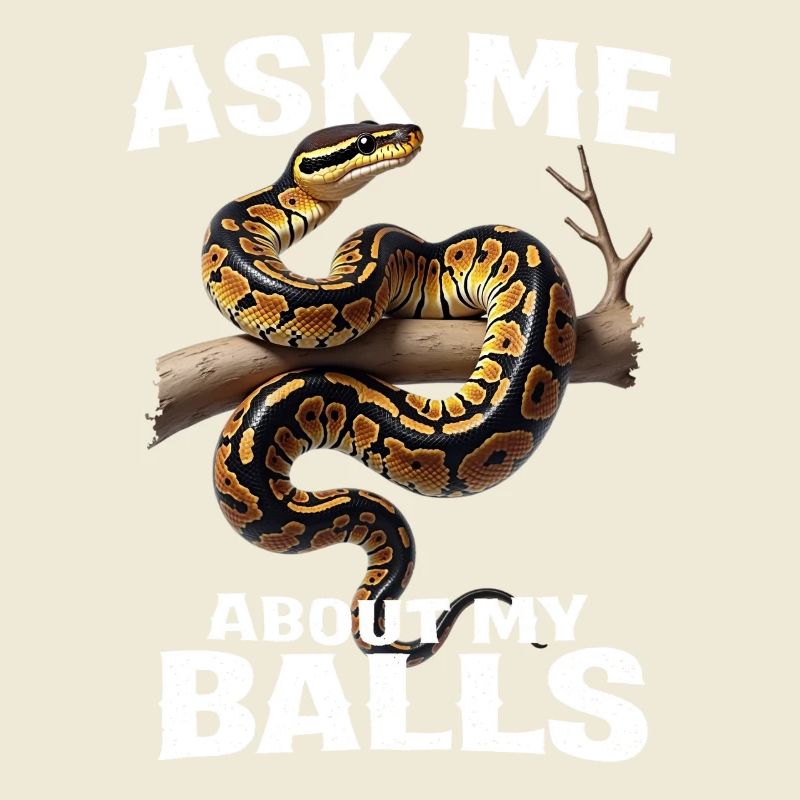 Python roi Serpents Amateurs de terrarium Python