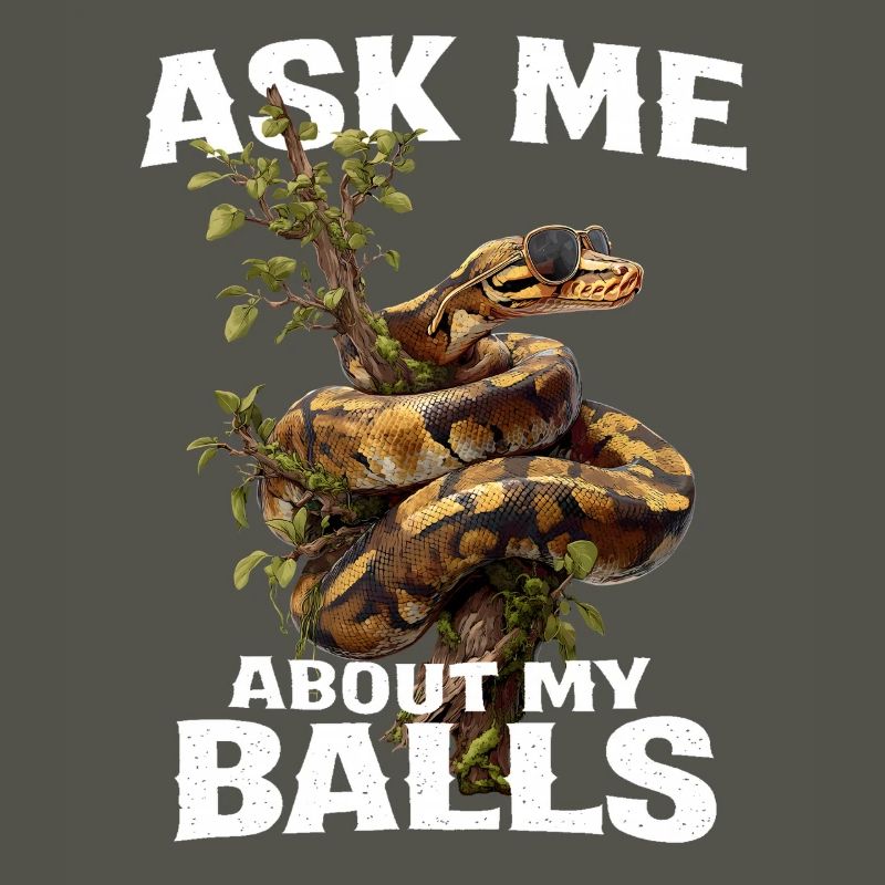 Python roi Serpents Amateurs de terrarium Python