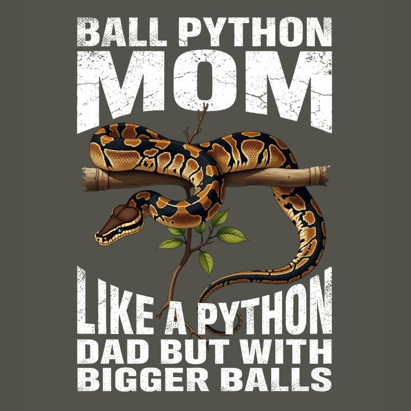 Königspython Mom Mama Schlangen Terrarium Python