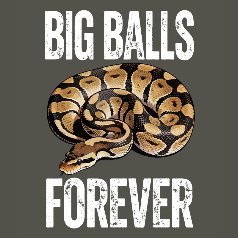 Python roi Serpents Amateurs de terrarium Python