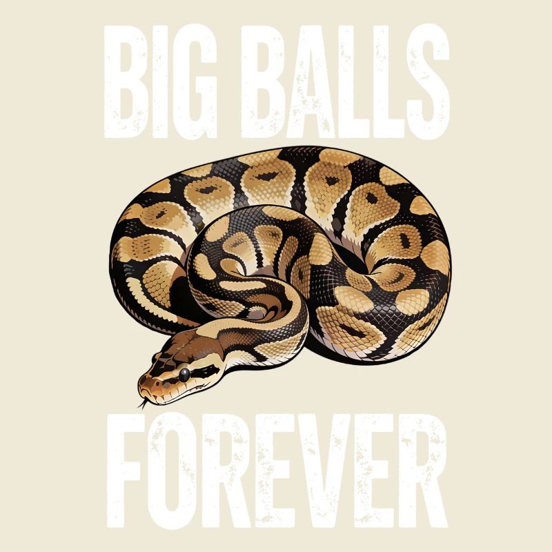 Python roi Serpents Amateurs de terrarium Python