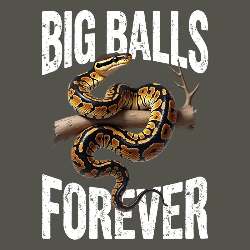 Python roi Serpents Amateurs de terrarium Python