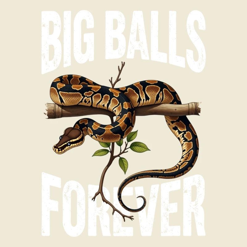 Python roi Serpents Amateurs de terrarium Python