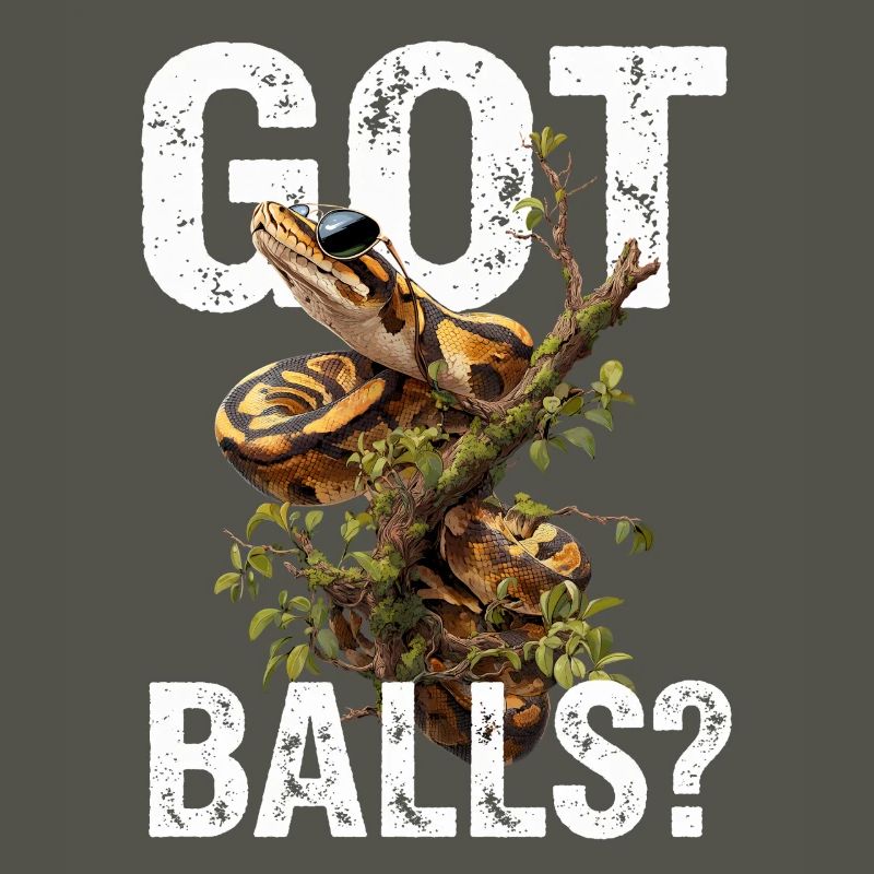 Python roi Serpents Amateurs de terrarium Python