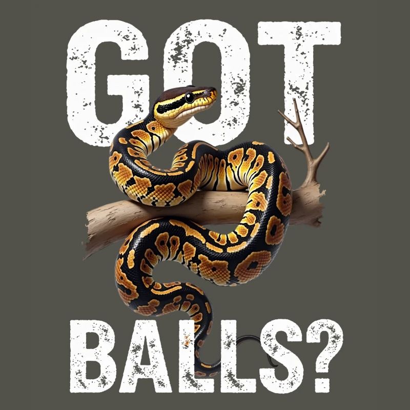 Python roi Serpents Amateurs de terrarium Python