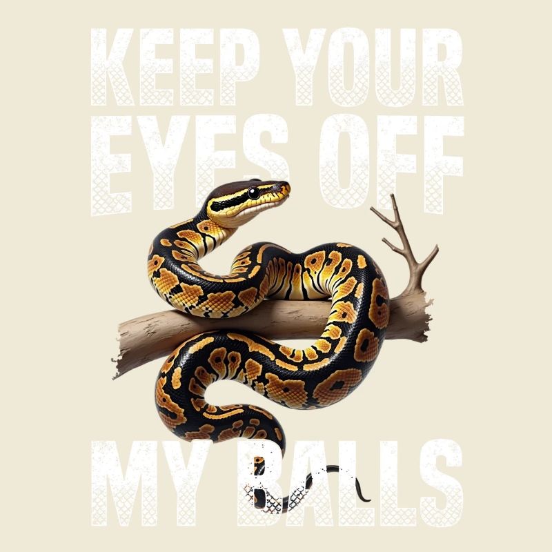 Python roi Serpents Amateurs de terrarium Python