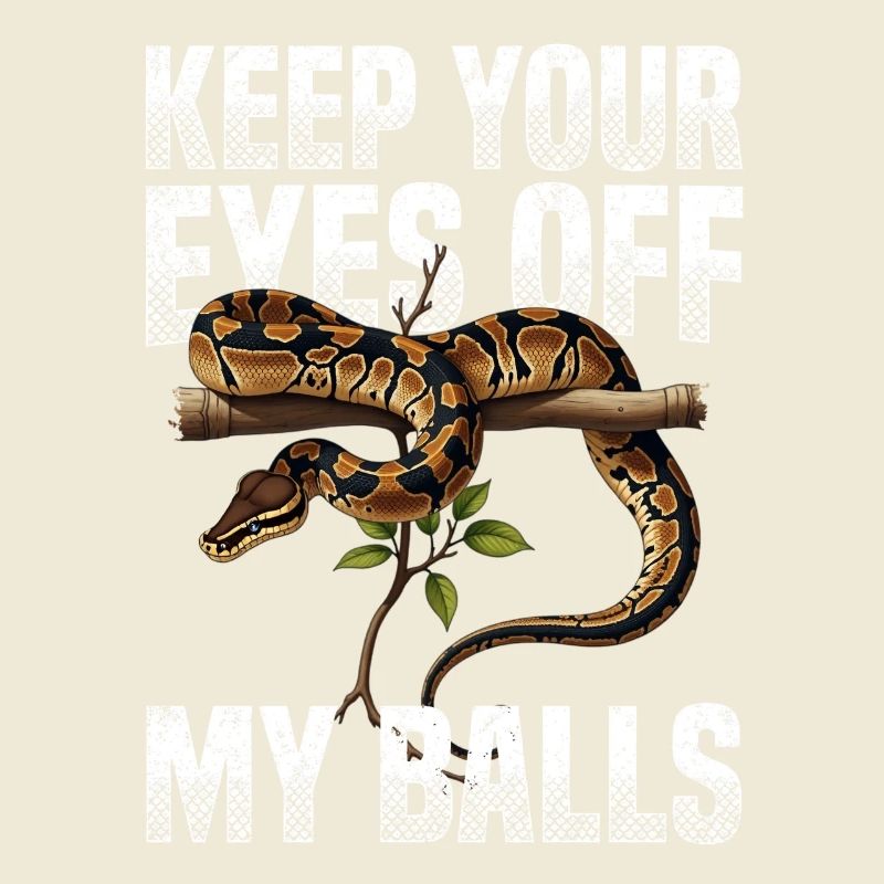 Python roi Serpents Amateurs de terrarium Python