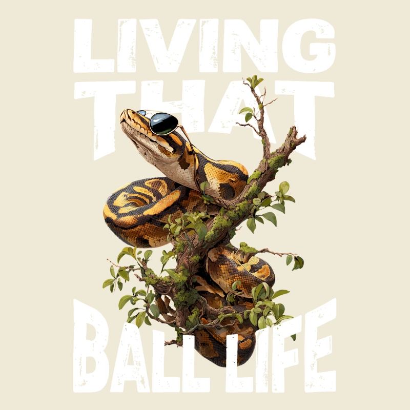 Python roi Serpents Amateurs de terrarium Python