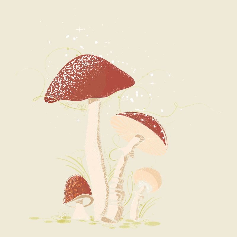 Magical toadstools in the forest illustrated