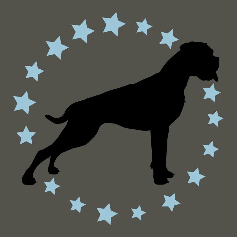 Boxer Sternenkreis 2 farb