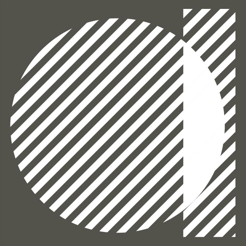 Geometric Stripe Circles Monochrome Pattern