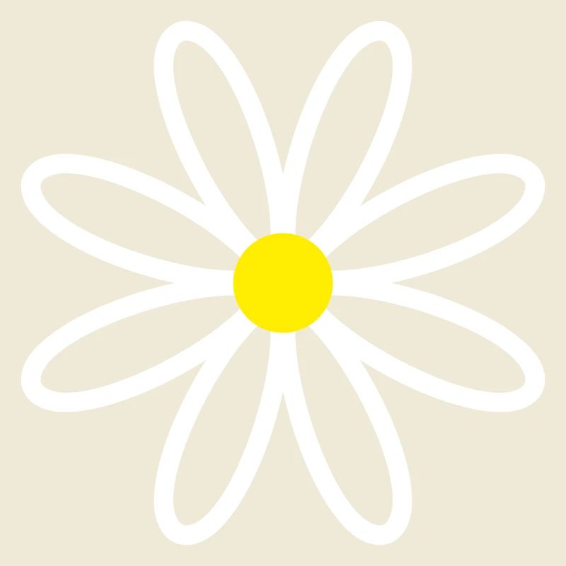 Daisy Gänseblümchen