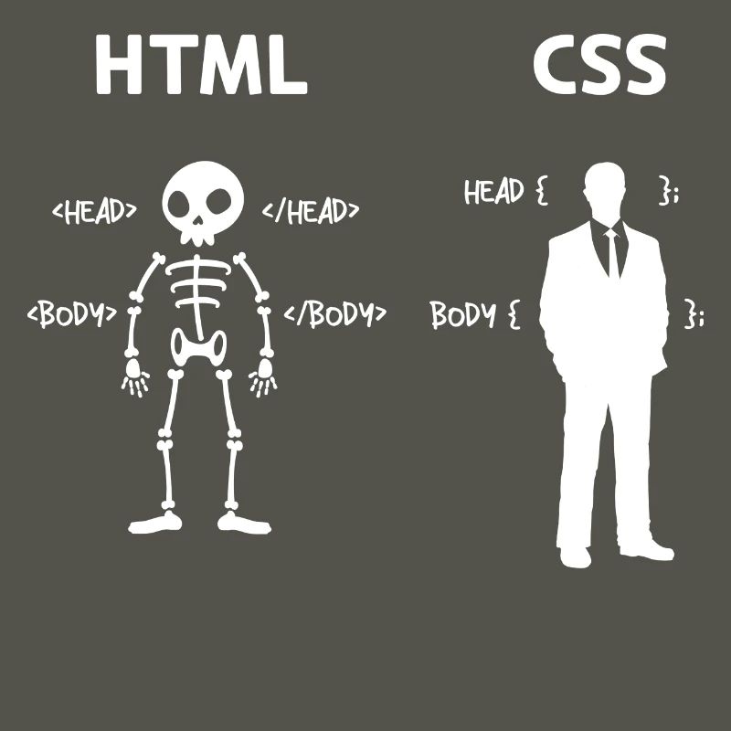 Code Css C++ Php Java Développeur Code Scripting