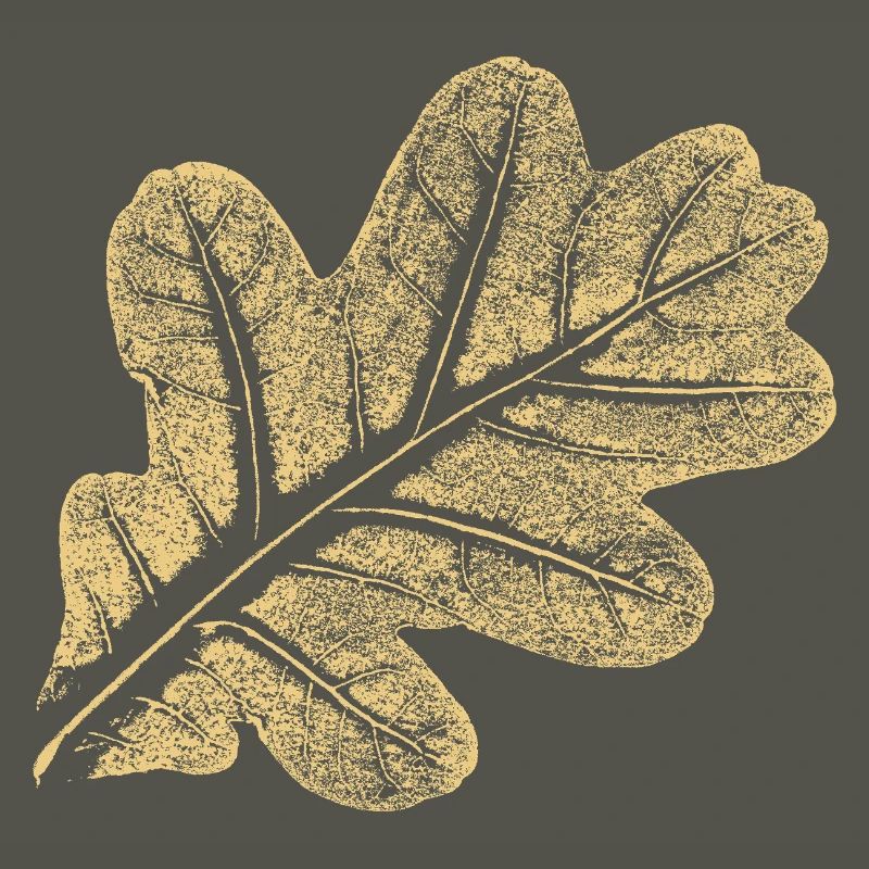 Blatt Eiche / Eichenblatt - Natur Design