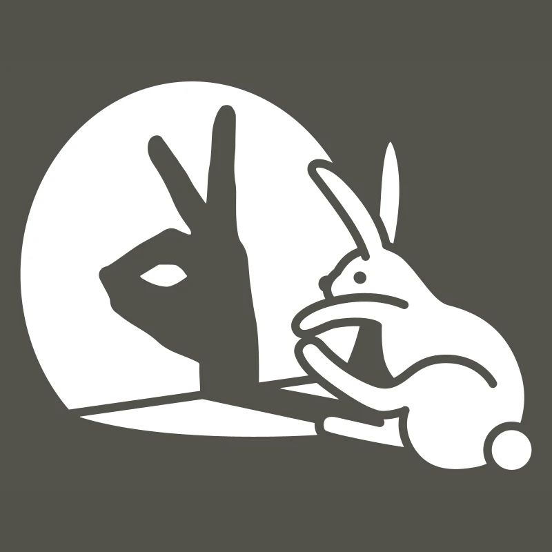 Funny Rabbit Hand Shadow Projection Rabbit